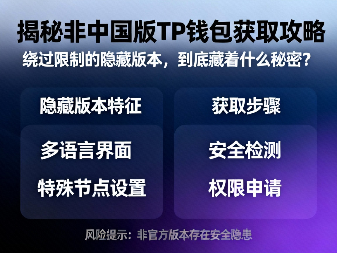 揭秘非中国版TP钱包获取攻略，绕过限制的隐藏版本，到底藏着什么秘密？